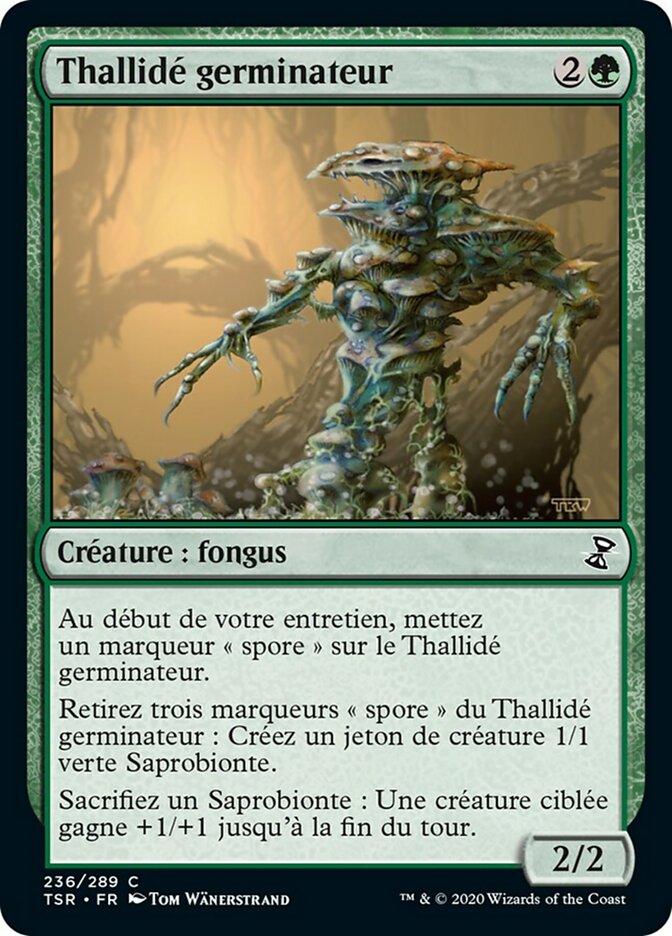 image Thallidé germinateur