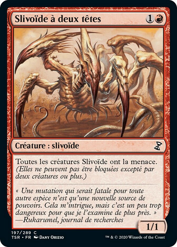 image Slivoïde à deux têtes