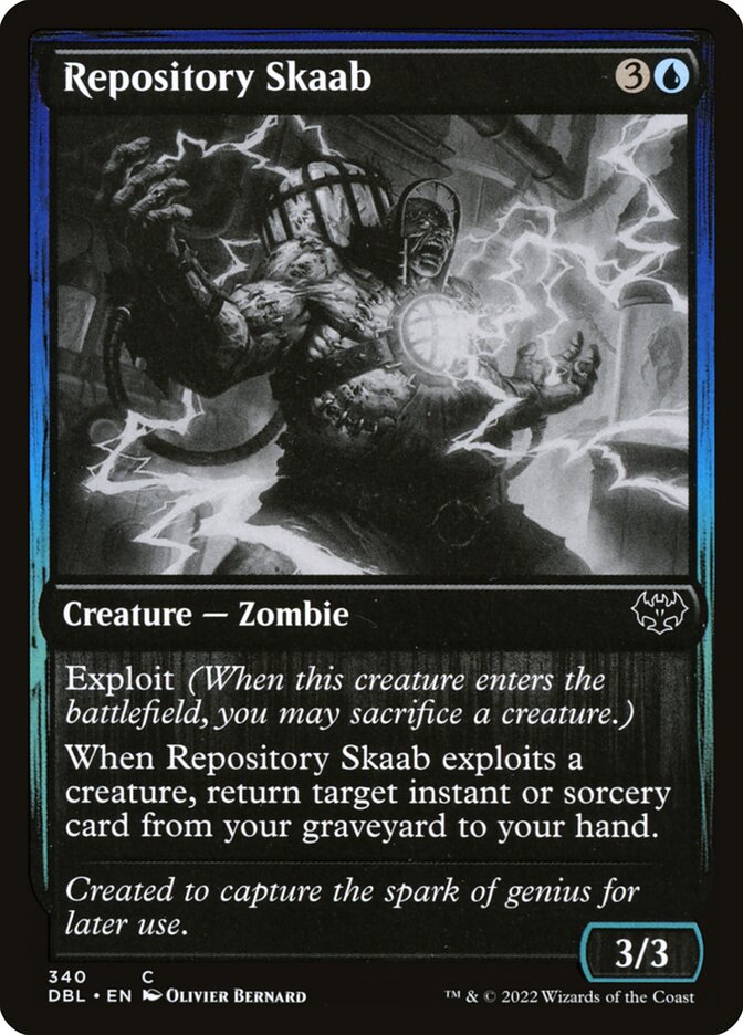 image Repository Skaab