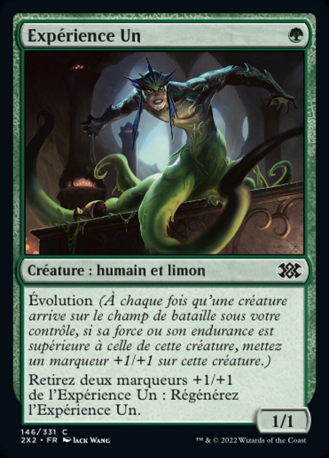 image Expérience Un