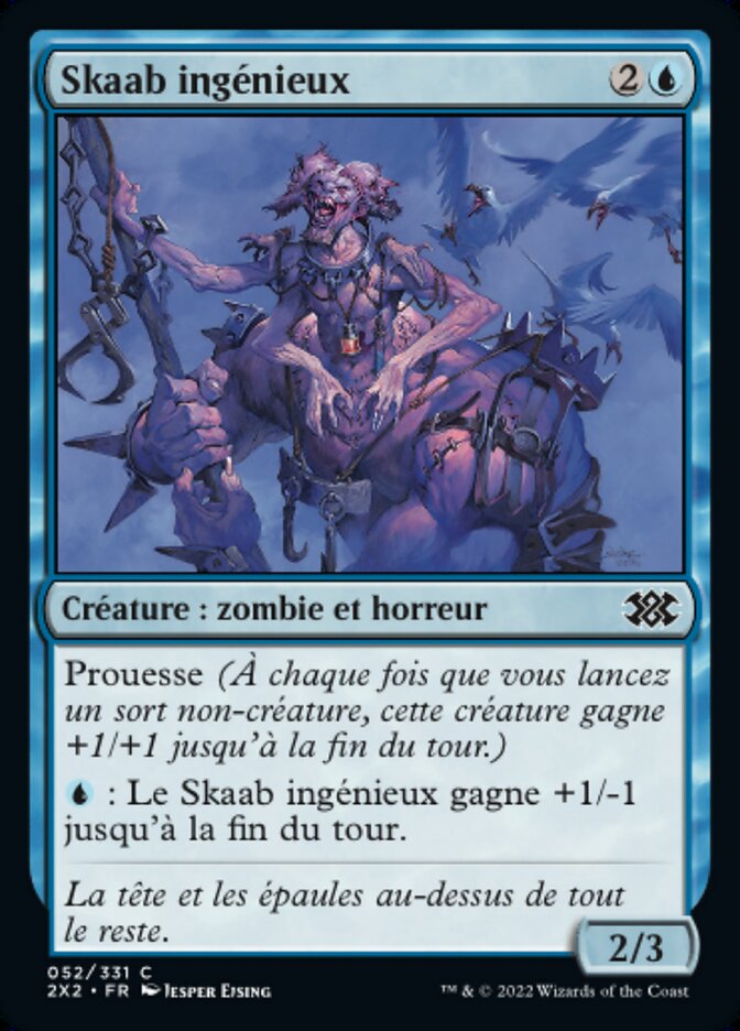 image Skaab ingénieux