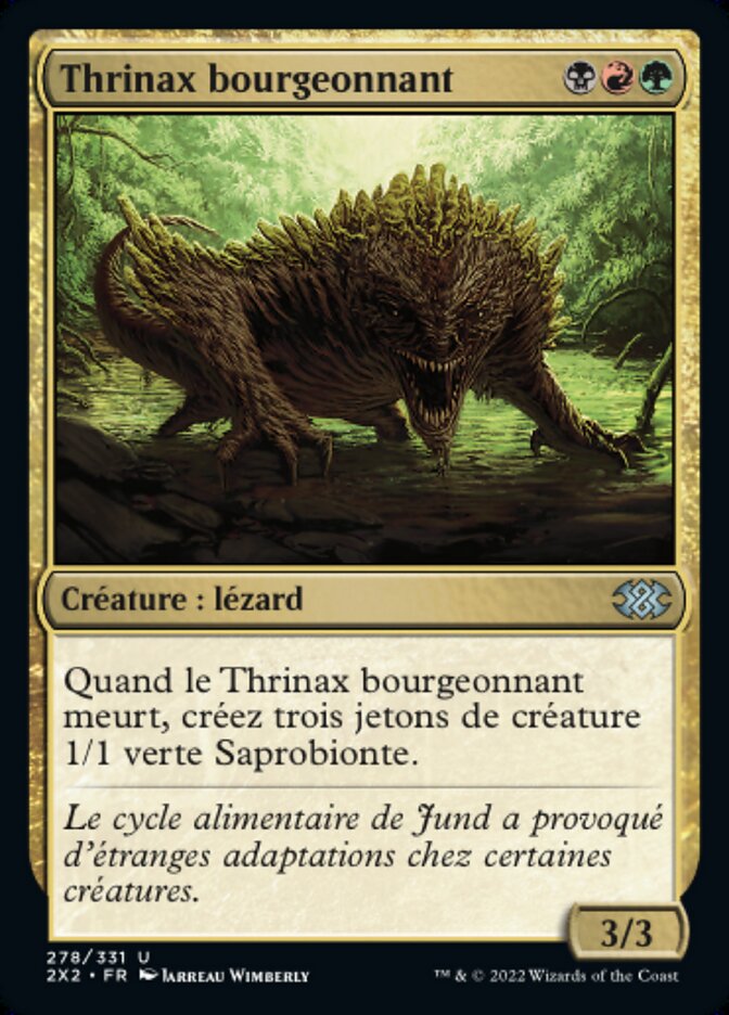 image Thrinax bourgeonnant