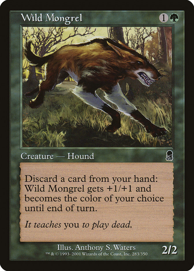 image Wild Mongrel