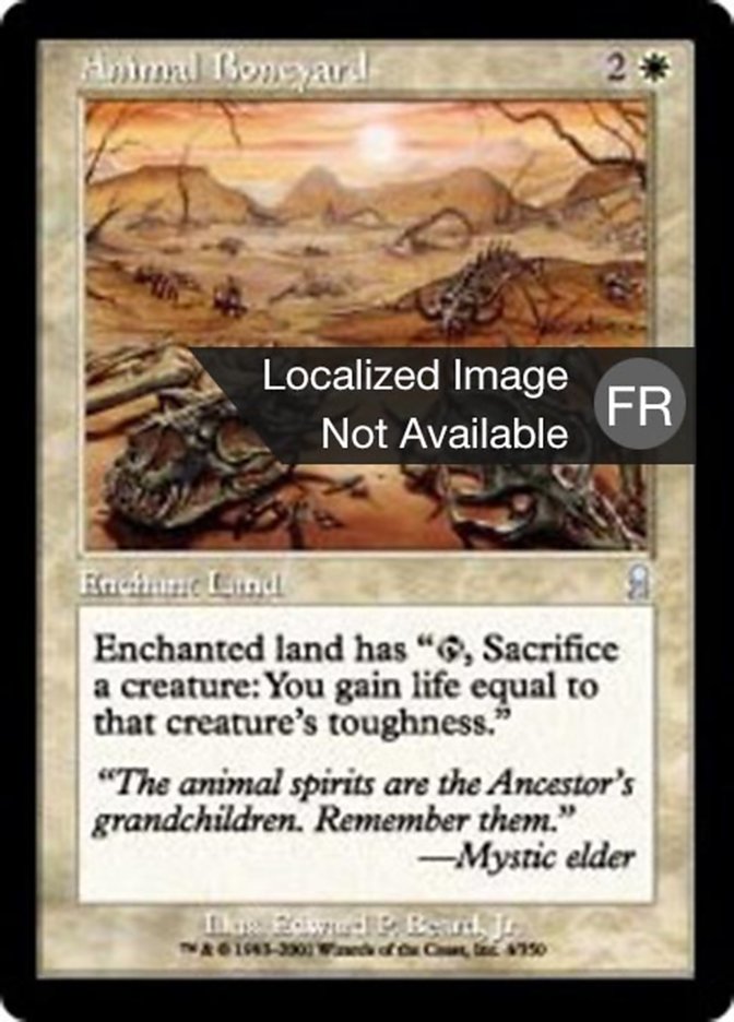 image Ossuaire d'animaux