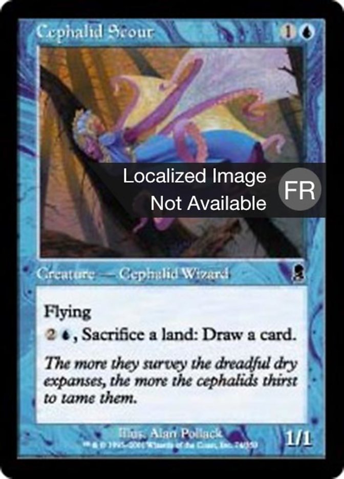 image Éclaireur céphalide