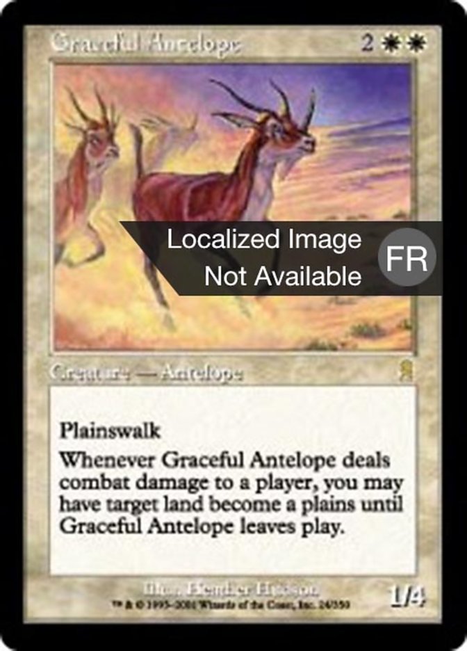 image Antilope gracieuse