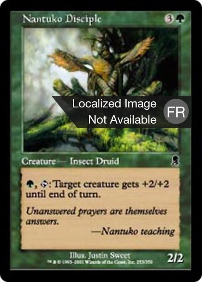 image Disciple nantuko