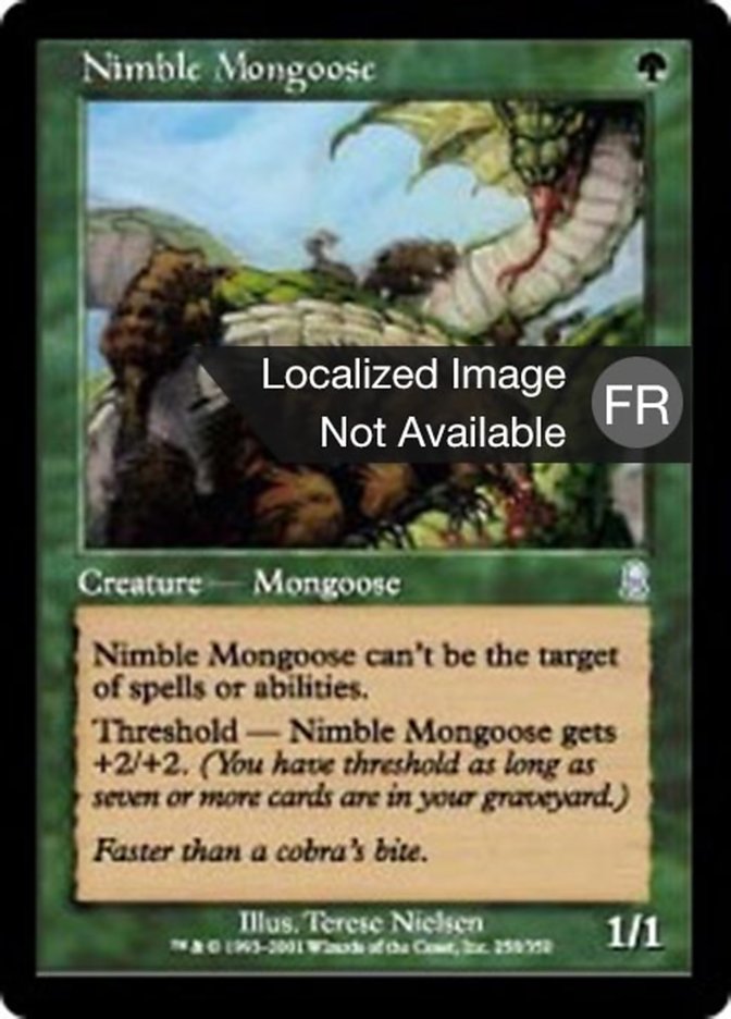 image Mangouste agile