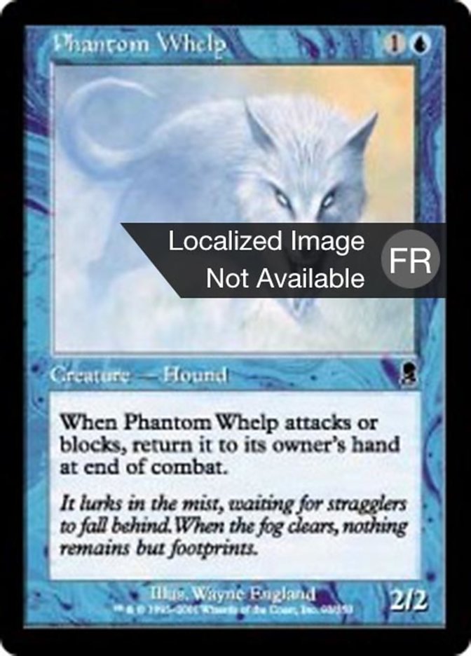 image Chiot fantomatique