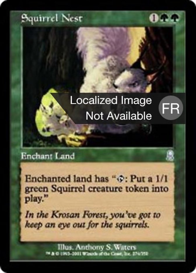 image Nid d'écureuils