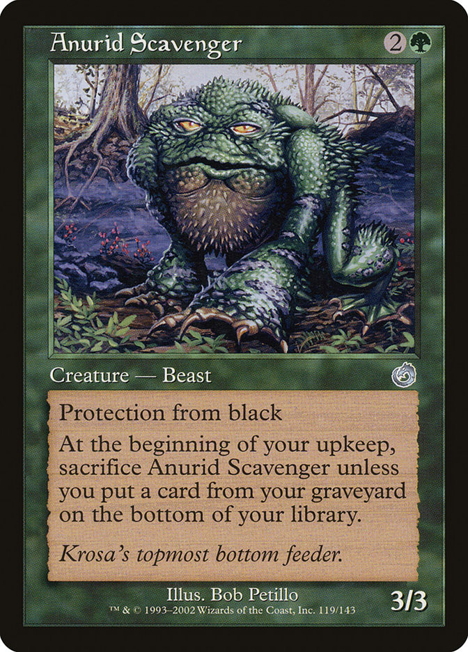 image Anurid Scavenger