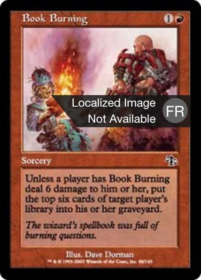 image Autodafé de livres