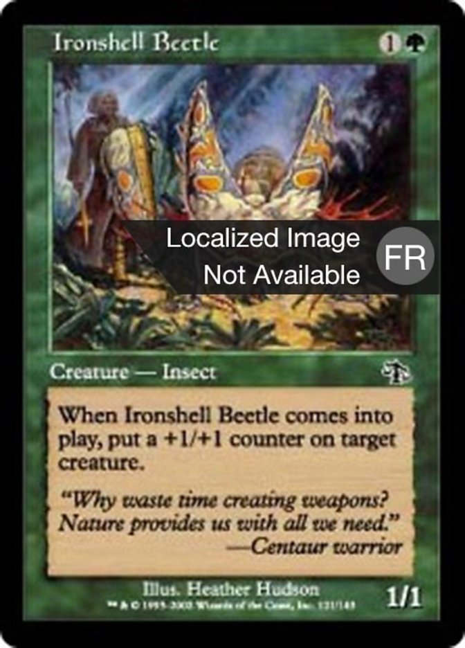 image Scarabée à carapace de fer