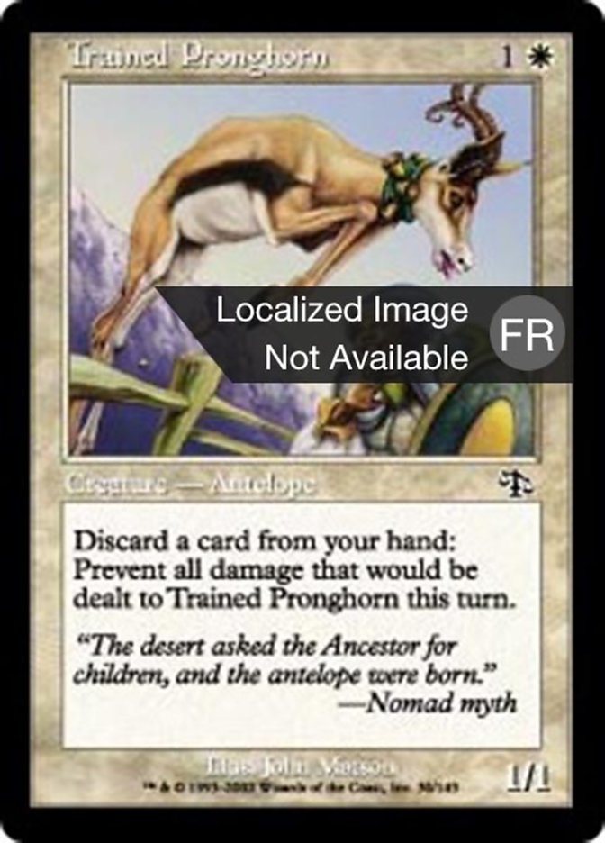 image Antilocapra dressée