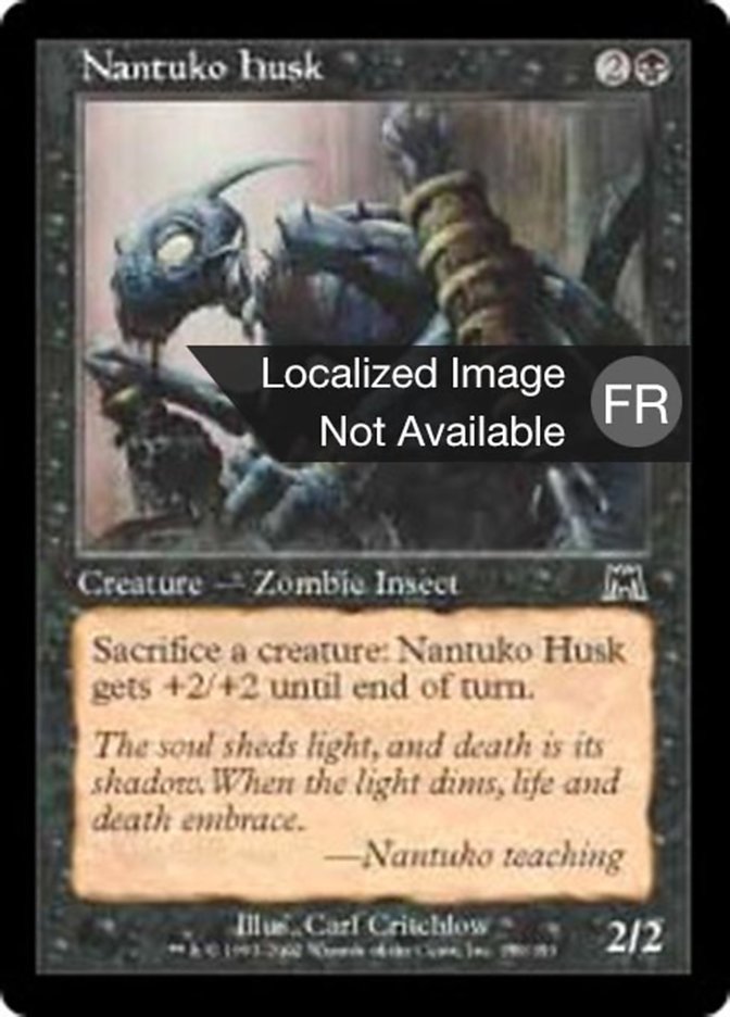 image Carapace de nantuko