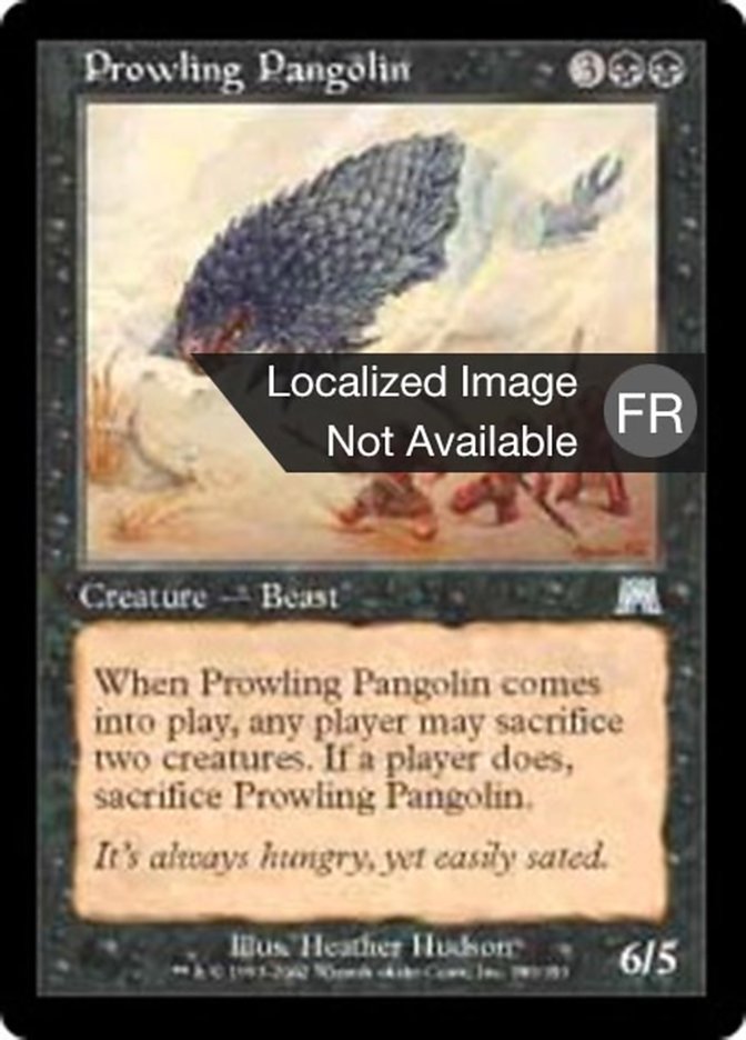 image Pangolin rôdeur