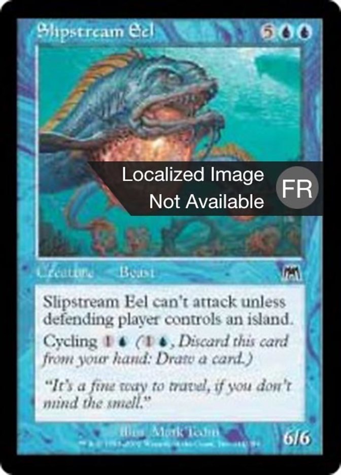 image Anguille des sillages