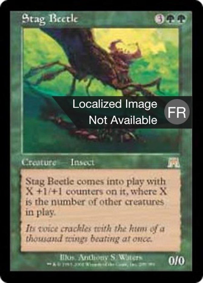 image Scarabée à ramure