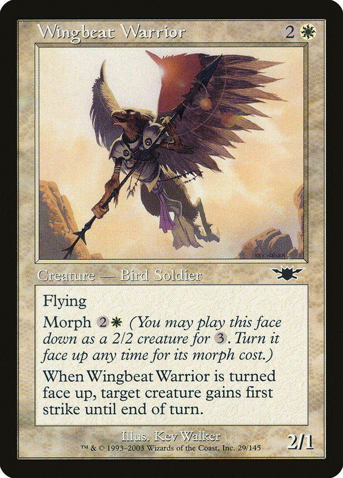 image Wingbeat Warrior