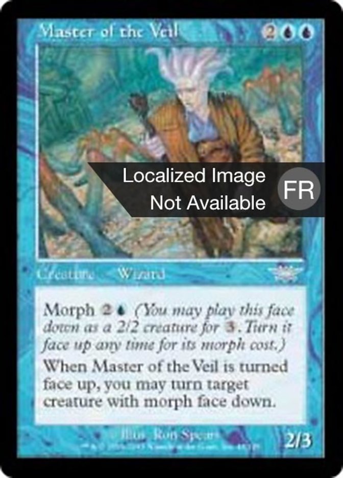 image Maître du voile