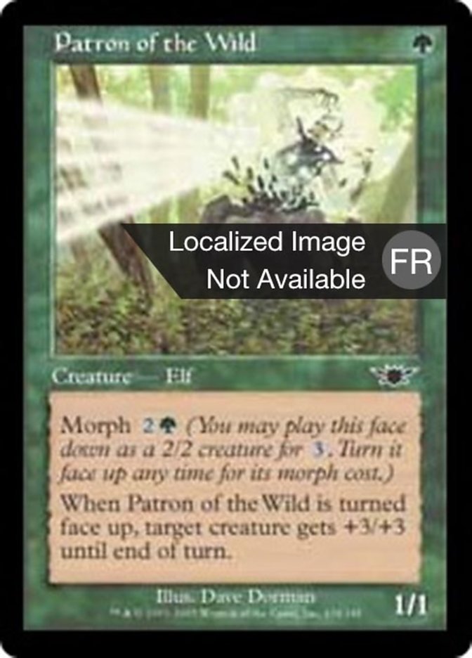 image Protecteur de la forêt