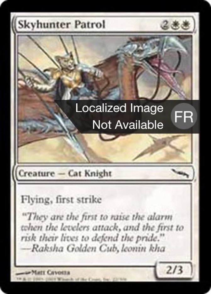 image Patrouille chasseciel