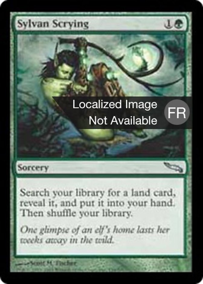 image Regard sylvestre