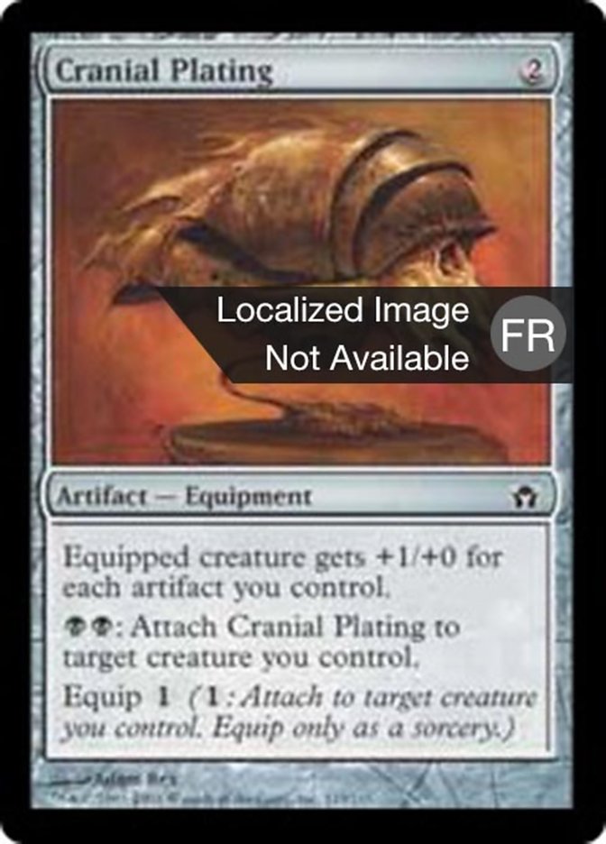 image Blindage crânien