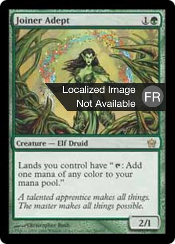 image Experte menuisière