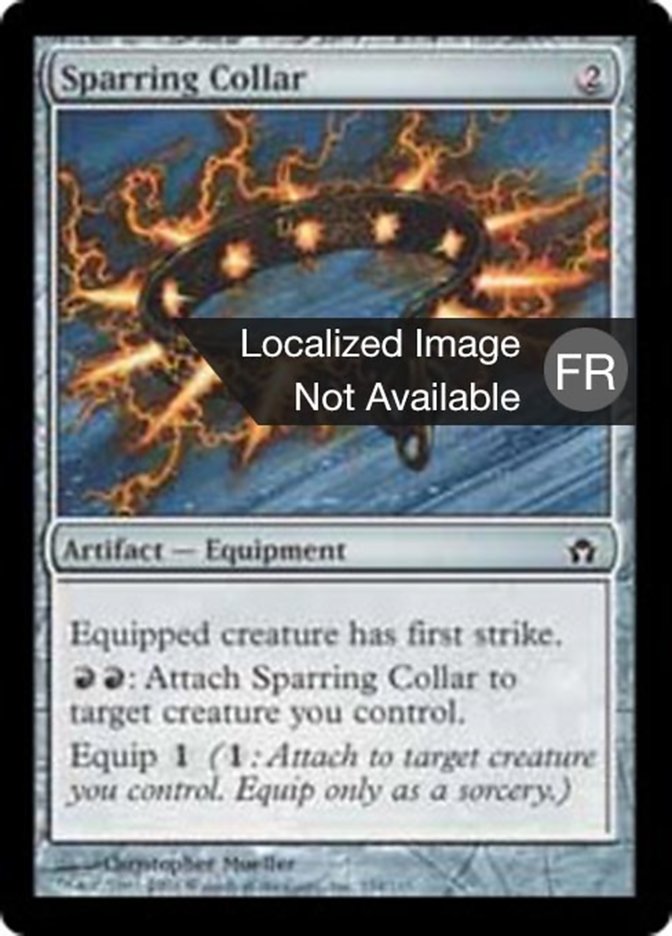 image Collier d'entraînement