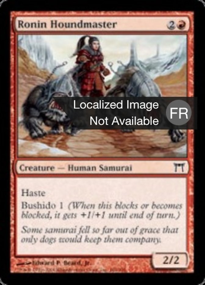 image Ronin maître-chien