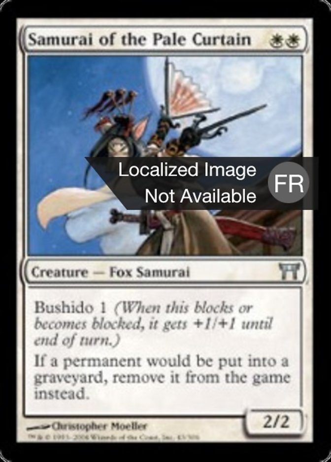 image Samouraï du Rideau pâle