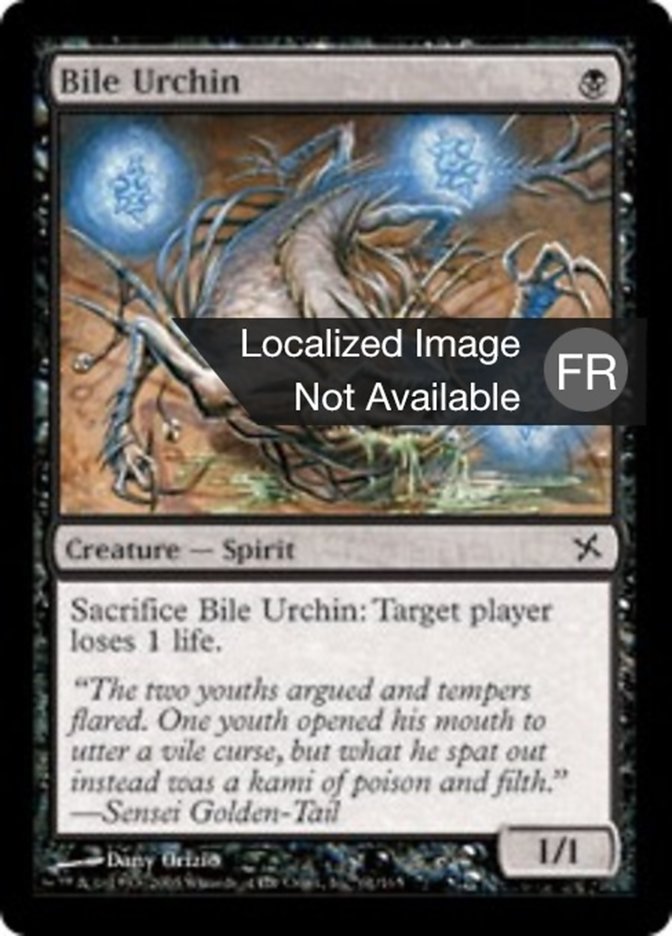 image Oursin de bile