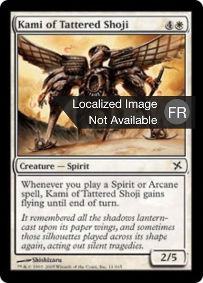 image Kami du shoji en lambeaux