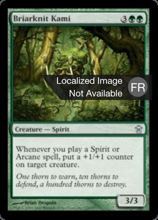 image Kami de ronces