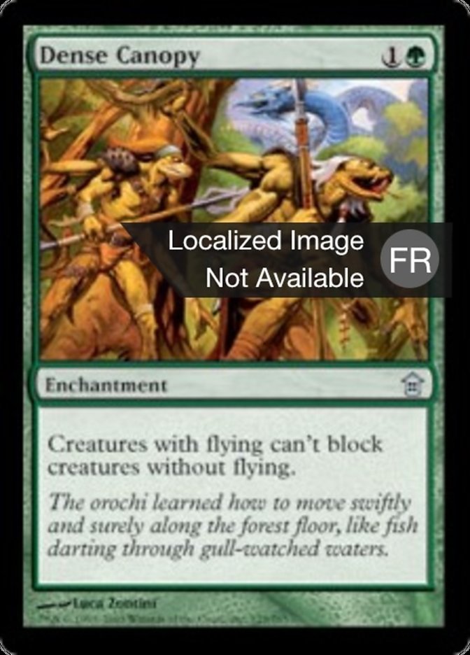 image Canopée dense