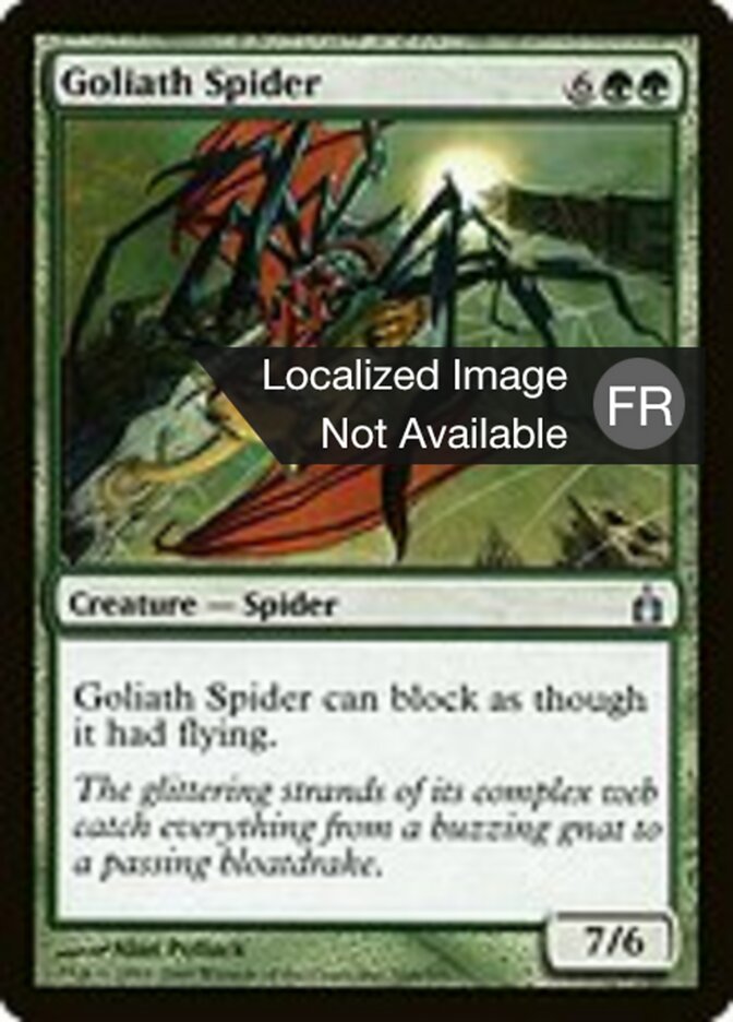 image Araignée goliath