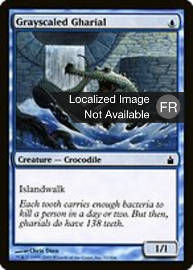 image Gavial à écailles grises