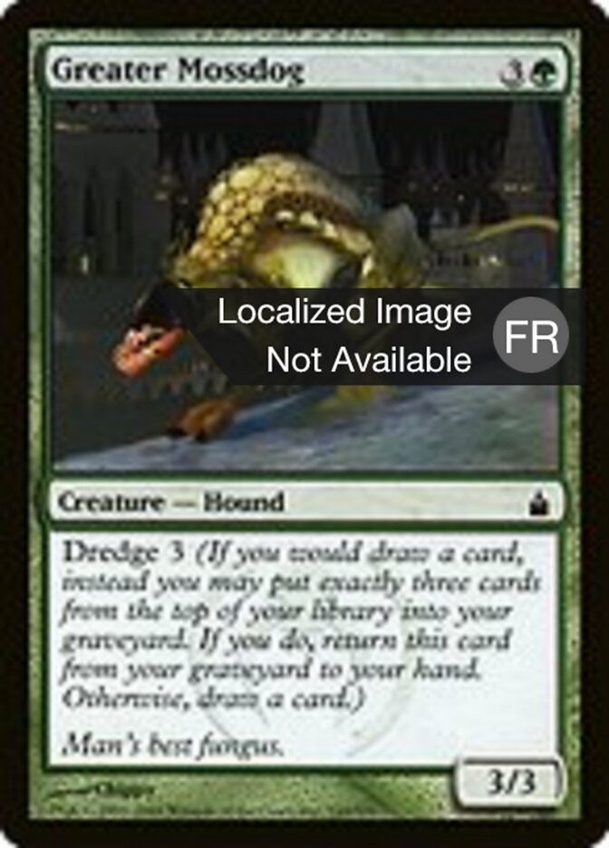 image Grand chien de mousse