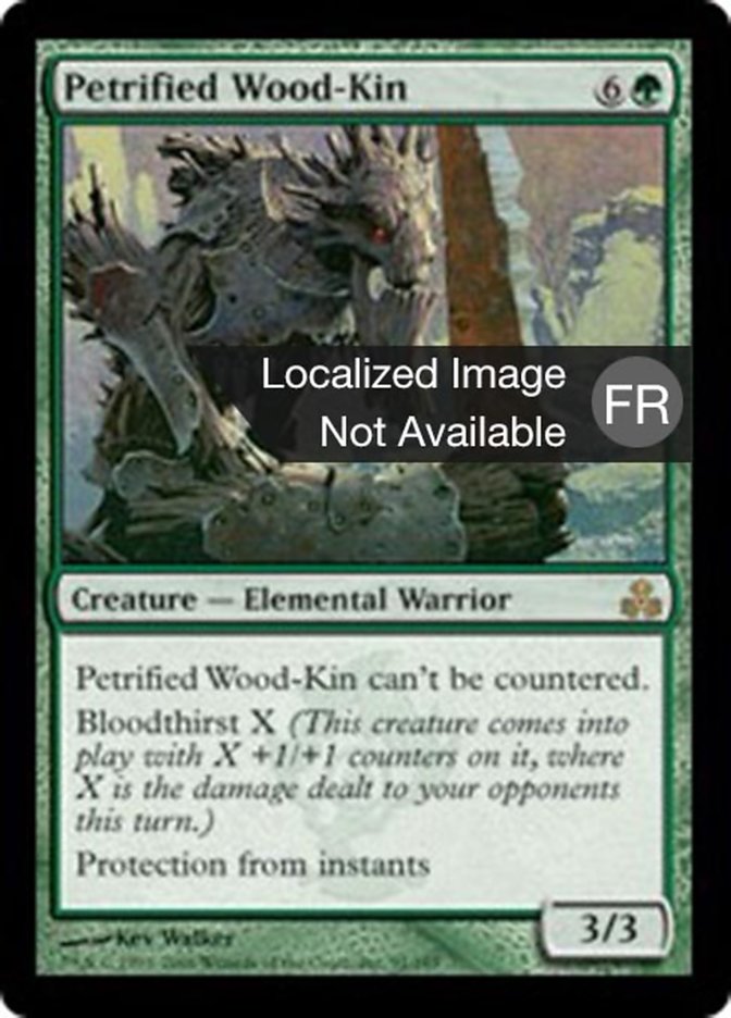 image Sangbois pétrifié