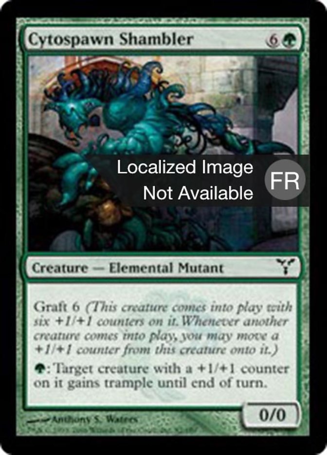 image Escogriffe cytoïde