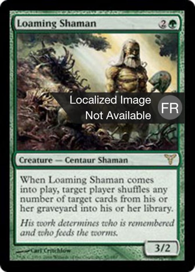 image Shamane au terreau