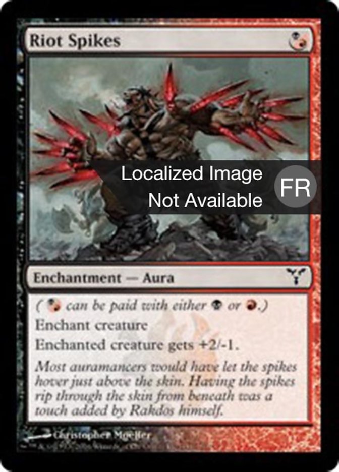 image Pointes anti-émeutes