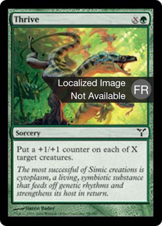 image Force intérieure