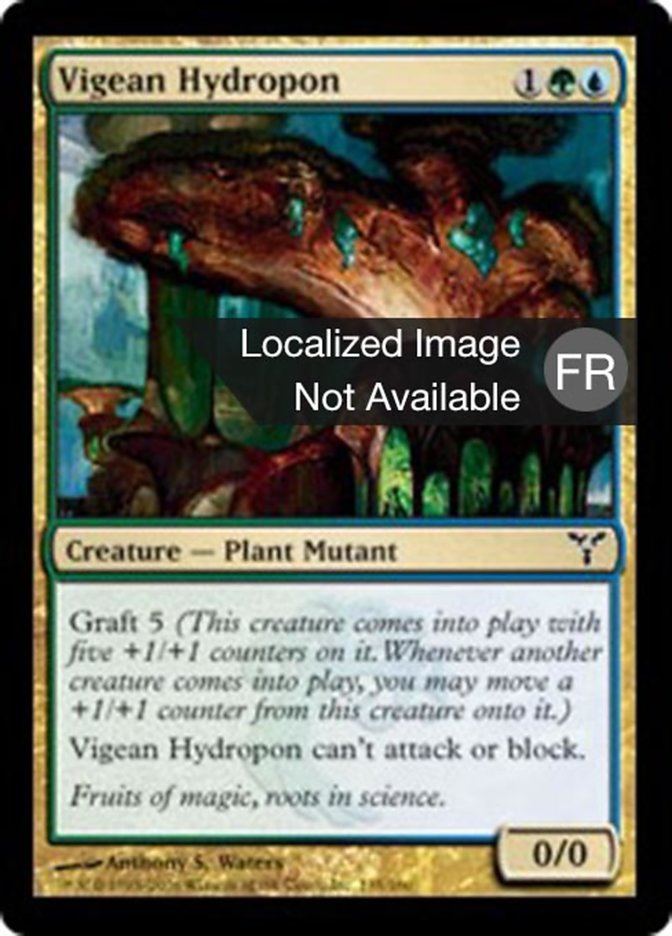 image Hydroponée vigéenne