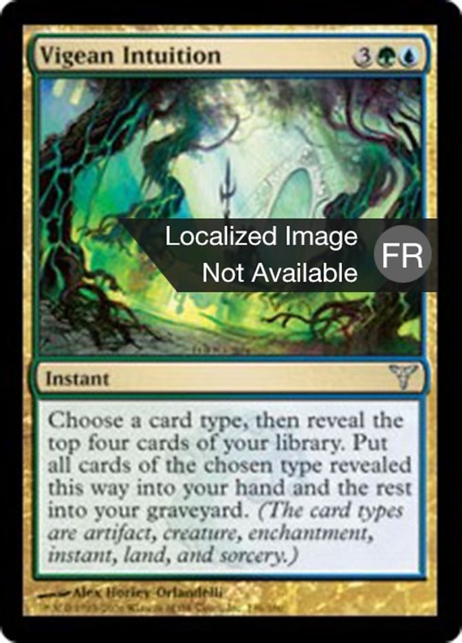 image Intuition vigéenne