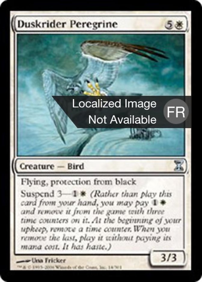 image Faucon pèlerin crépusculaire