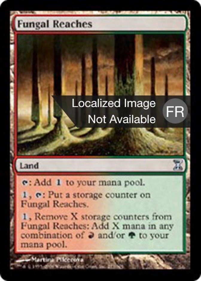 image Étendues fongoïdes