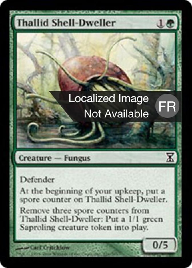 image Thallidé encoquillé