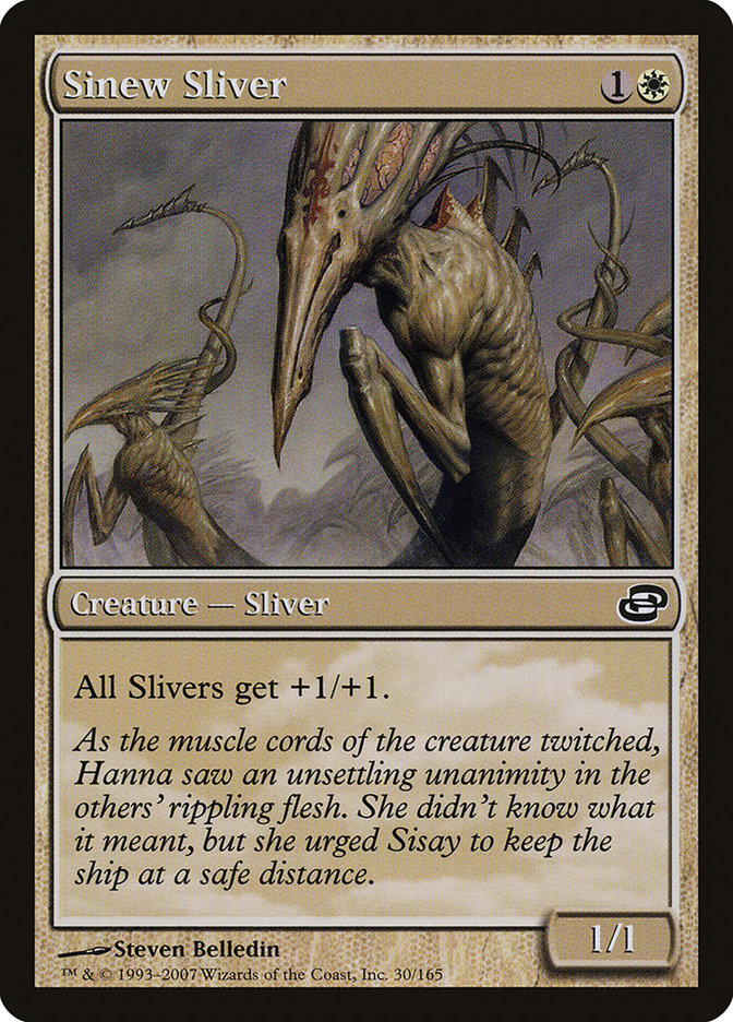 image Sinew Sliver